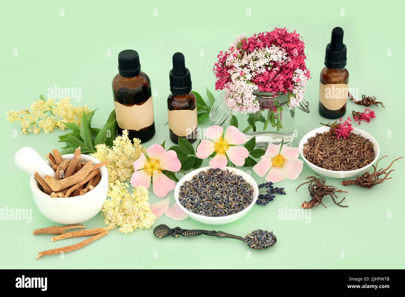 Heilkräuter- und Blumenpräparat für naturheilkundliche pflanzliche Medizin mit Ashwagandha Ginseng, Baldrian, Holunderblüte, Wildrose und Lavendel Stockfoto