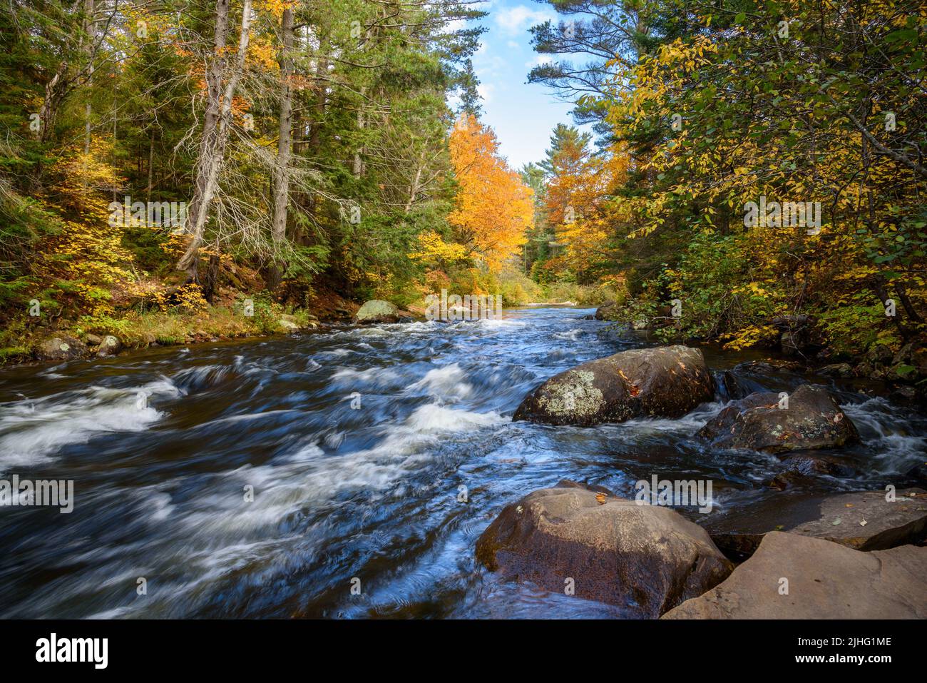 Schnell fließender Fluss durch einen Wald im Herbst. Wunderschönes Herbstlaub. Stockfoto