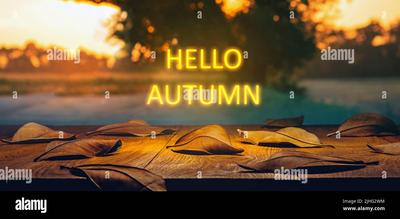 Heruntergefallene Blätter auf einem Holztisch mit Neonlicht-Text. Hallo Herbstkonzept Stockfoto