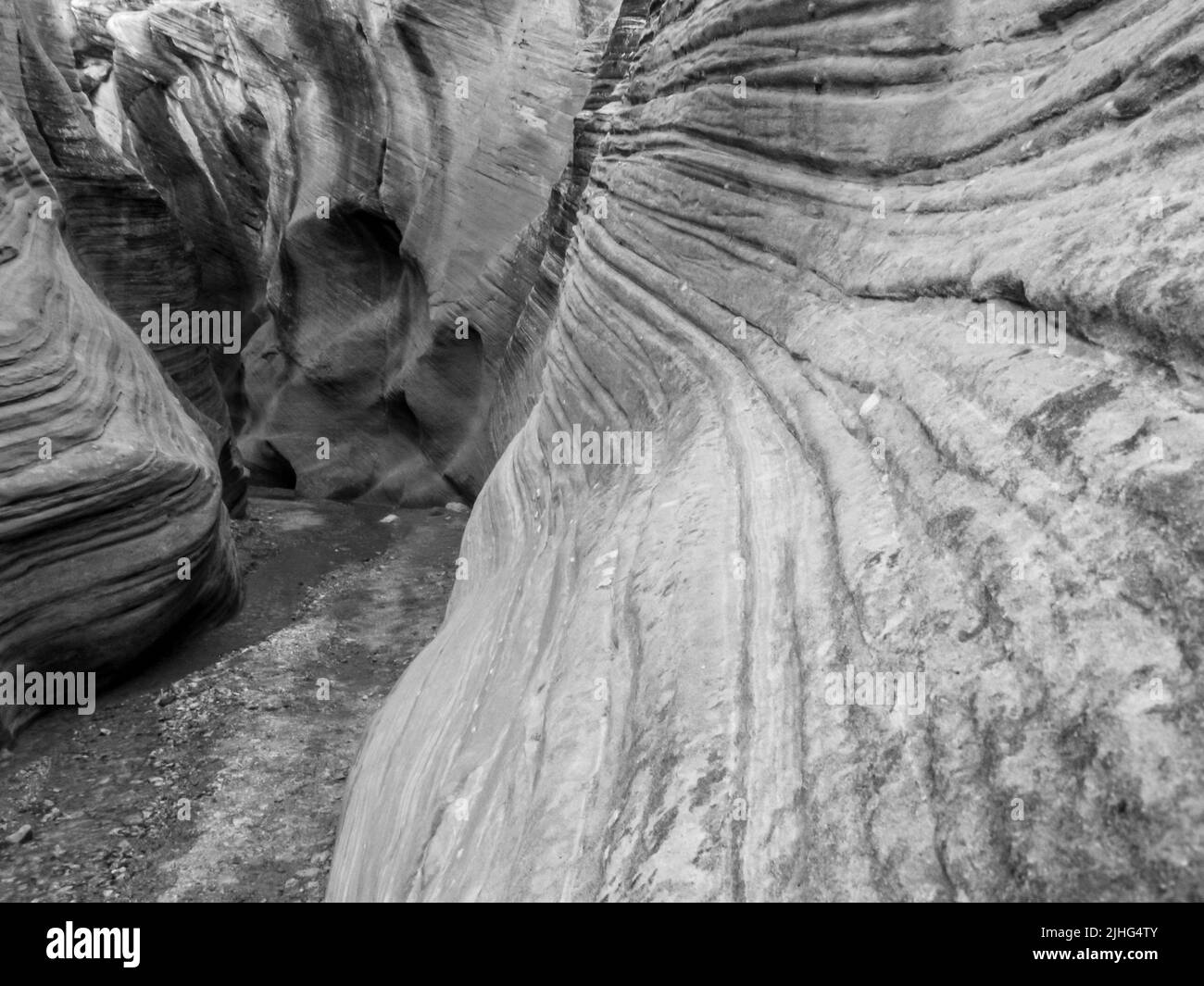 Nahaufnahme der Kreuzbezüge in den Sandsteinklippen des Willis Creek Slot Canyons im Grand Staircase-Escalante National Monument, Utah, Stockfoto