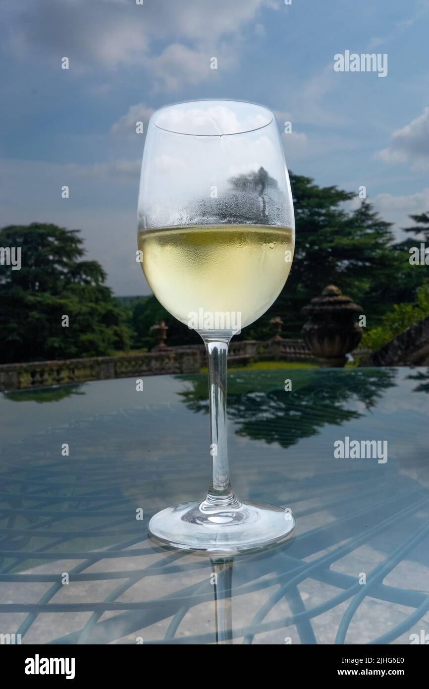 Gekühlter Weißwein in einem Glas Stockfoto