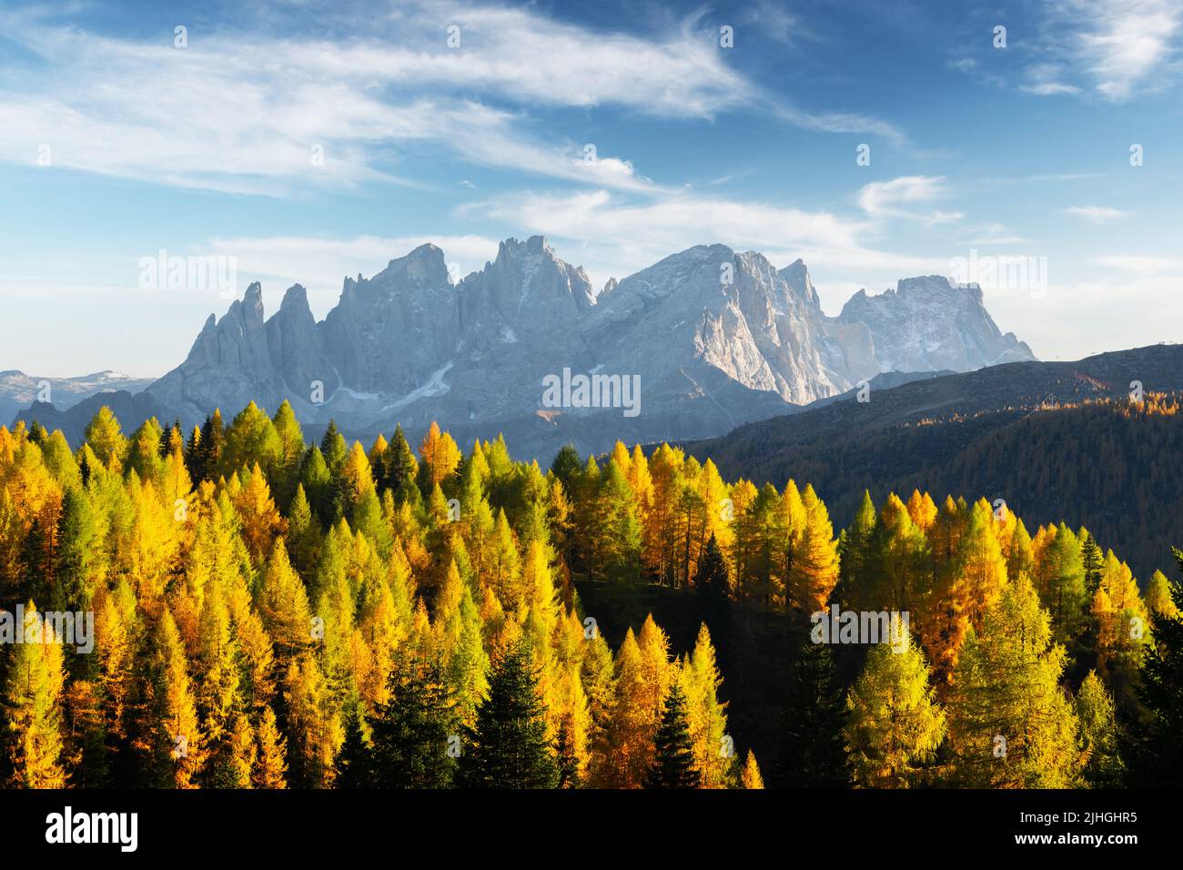 Unglaublicher Herbstblick im Valfreda-Tal in den italienischen Dolomiten. Gelbe und orange Lärchen Wald und schneebedeckte Berge Gipfel auf dem Hintergrund. Dolomiten, Italien. Landschaftsfotografie Stockfoto
