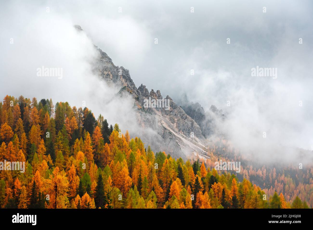 Unglaublicher Herbstblick auf die italienischen Dolomiten. Orangefarbene Lärchen Wald und neblige Berge Gipfel auf dem Hintergrund. Dolomiten, Italien. Landschaftsfotografie Stockfoto