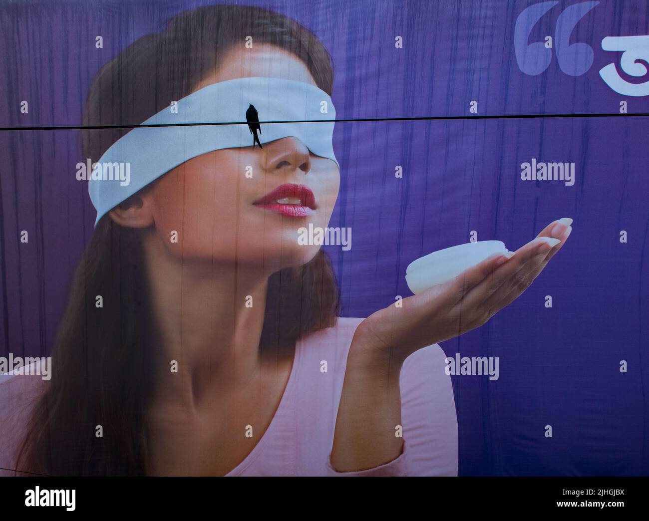 Vögel scheinen weibliche Augen auf Plakatwänden zu sein, Bogra, Bangladesch Stockfoto