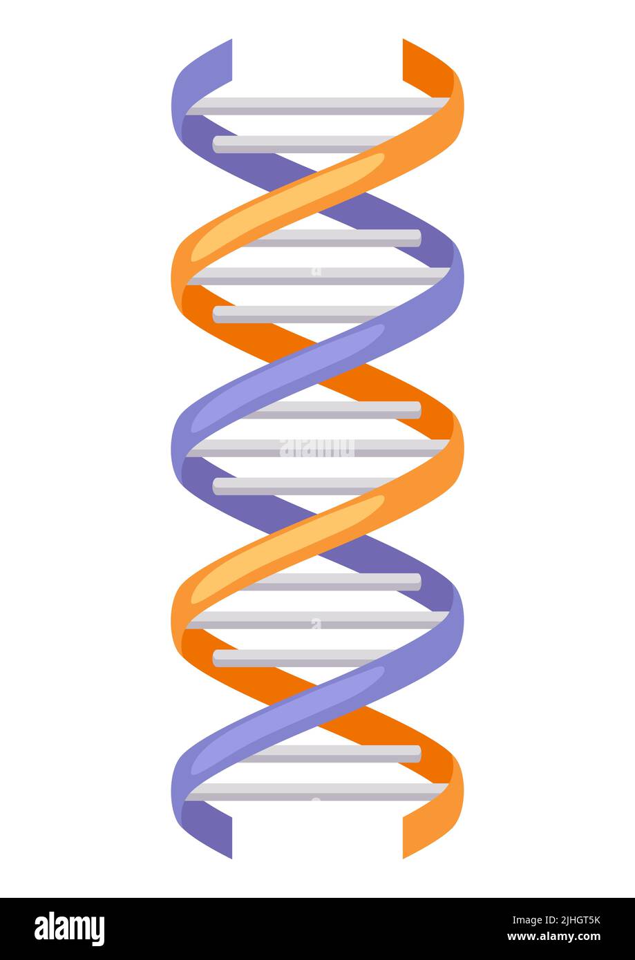 Illustration des dna-Modells. Medizinische und wissenschaftliche Artikel. Image für Labor- und Forschungsindustrie. Stock Vektor