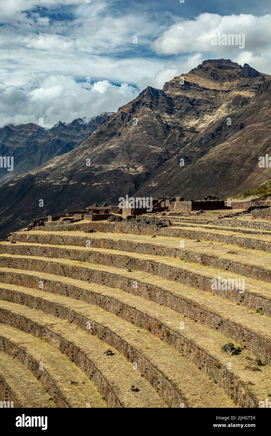 Landwirtschaftlichen Terrassen Pisac Inkaruinen, Pisac, Cusco, Peru Stockfoto