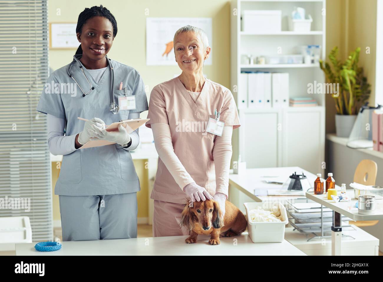 Vorderansicht Porträt von zwei Tierärztinnen, die in der Tierarztklinik die Kamera betrachten, während sie den Hund untersuchen, Kopierraum Stockfoto