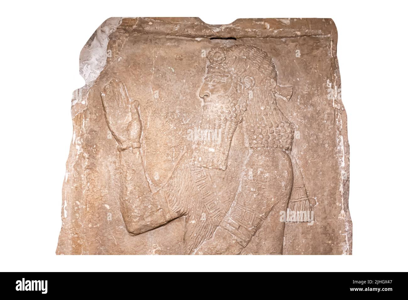 Priester hält einen Sprossen - Detail - Relief aus dem Palast von Sargon II in Dur-Sharrukin ( Khorsabad ) - Kalkstein - 8. Jahrhundert v. Chr. Hermitage Museum Stockfoto