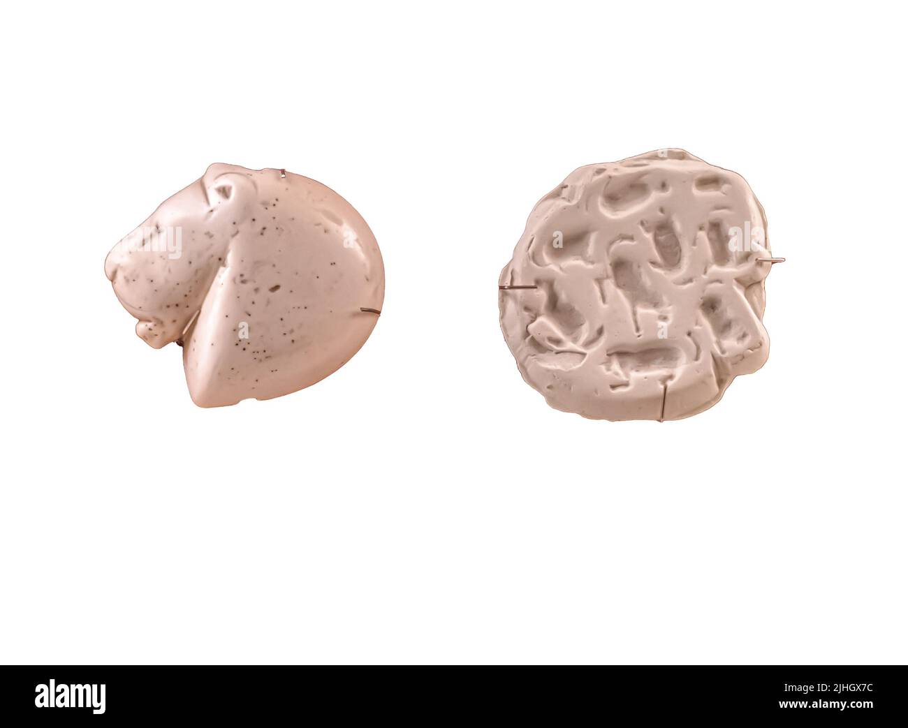 Mesopotamische Robbe in Form des Löwentierkopfes. Mesopotamien 4.- 3. Jahrtausend v. Chr. Stockfoto