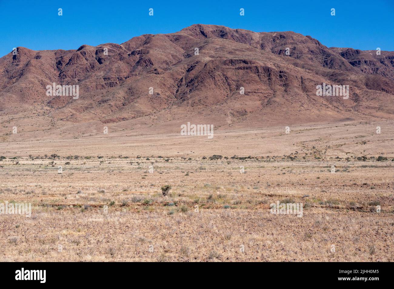Panoramablick auf Wüstenebenen in Namibia Afrika mit Hügeln und Bergen im Hintergrund Stockfoto