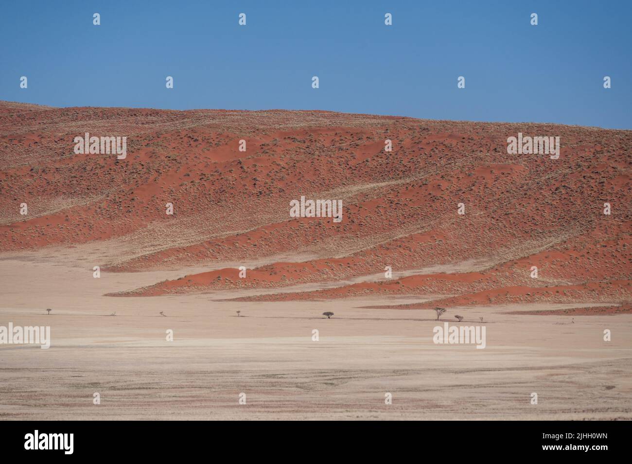 Sanddünen in der Kalahari-Wüste, Namibia, Afrika Stockfoto