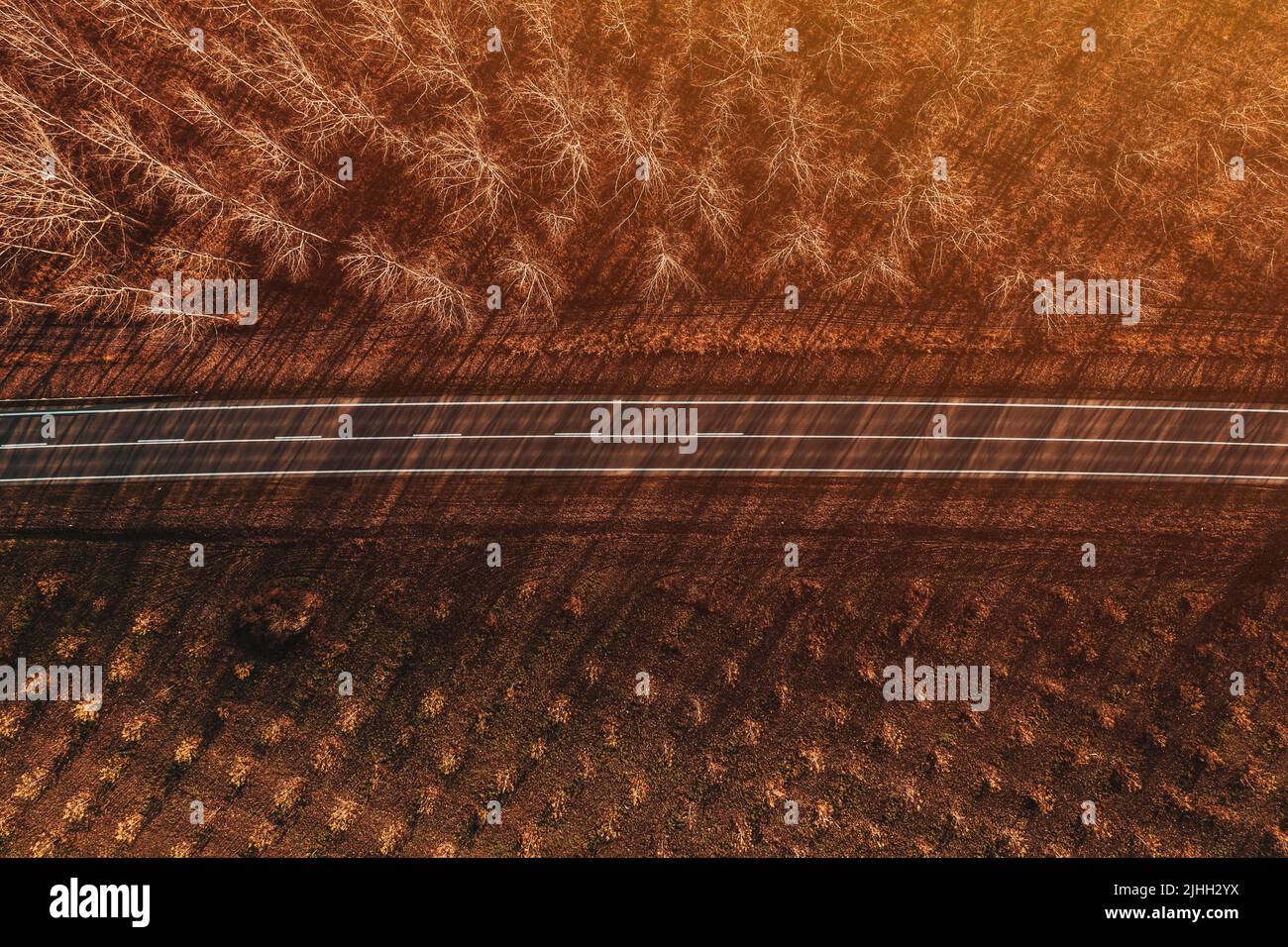 Reise- und Fahrkonzept, Dronen-Fotografie von leerer Straße durch Laub-Pappelwälder bei Sonnenuntergang im Herbst Stockfoto