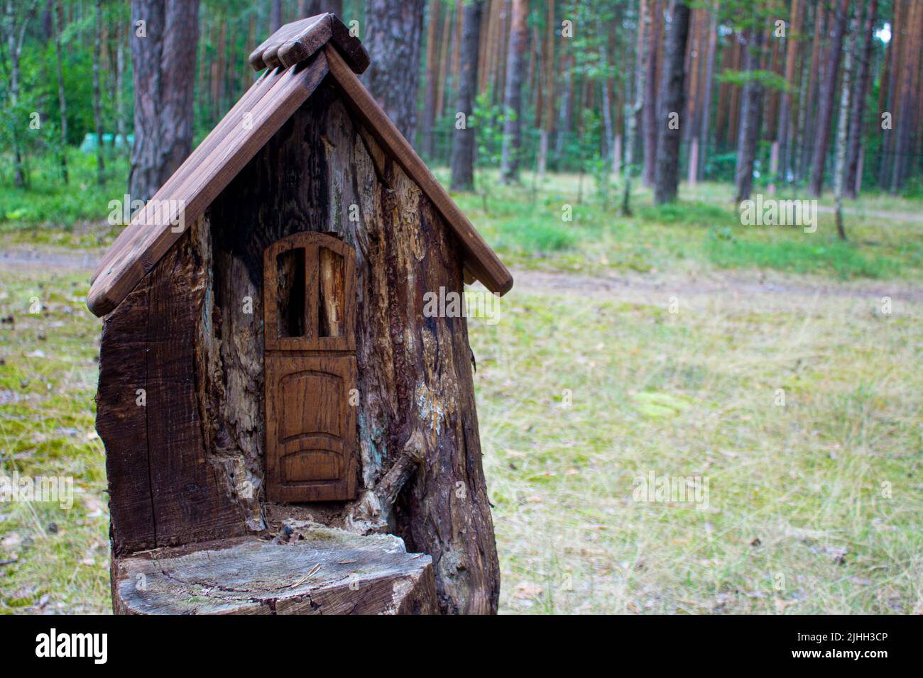 Haus in einem Stumpf in einem Pinienwald. Sommersonntag. Gehäuse für Waldtiere mit Kunstelementen. Stockfoto
