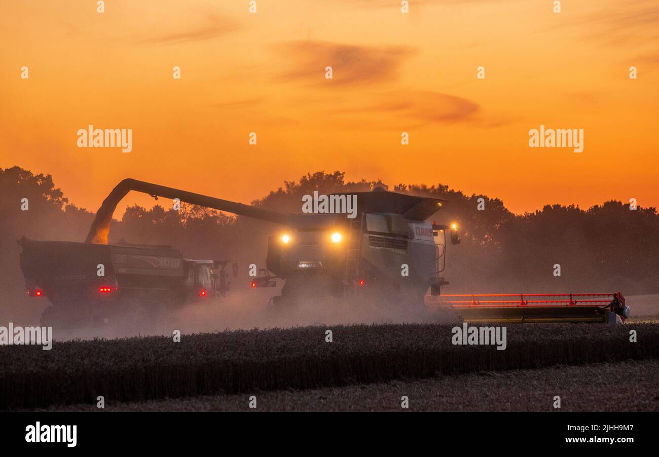 18. Juli 2022, Mecklenburg-Vorpommern, Groß Welzin: Ein Mähdrescher fährt nach Sonnenuntergang über ein Feld, um Weizen zu ernten. Die Landwirte in Norddeutschland nutzen derzeit das trockene Wetter, um Getreide zu ernten. Foto: Jens Büttner/dpa Stockfoto