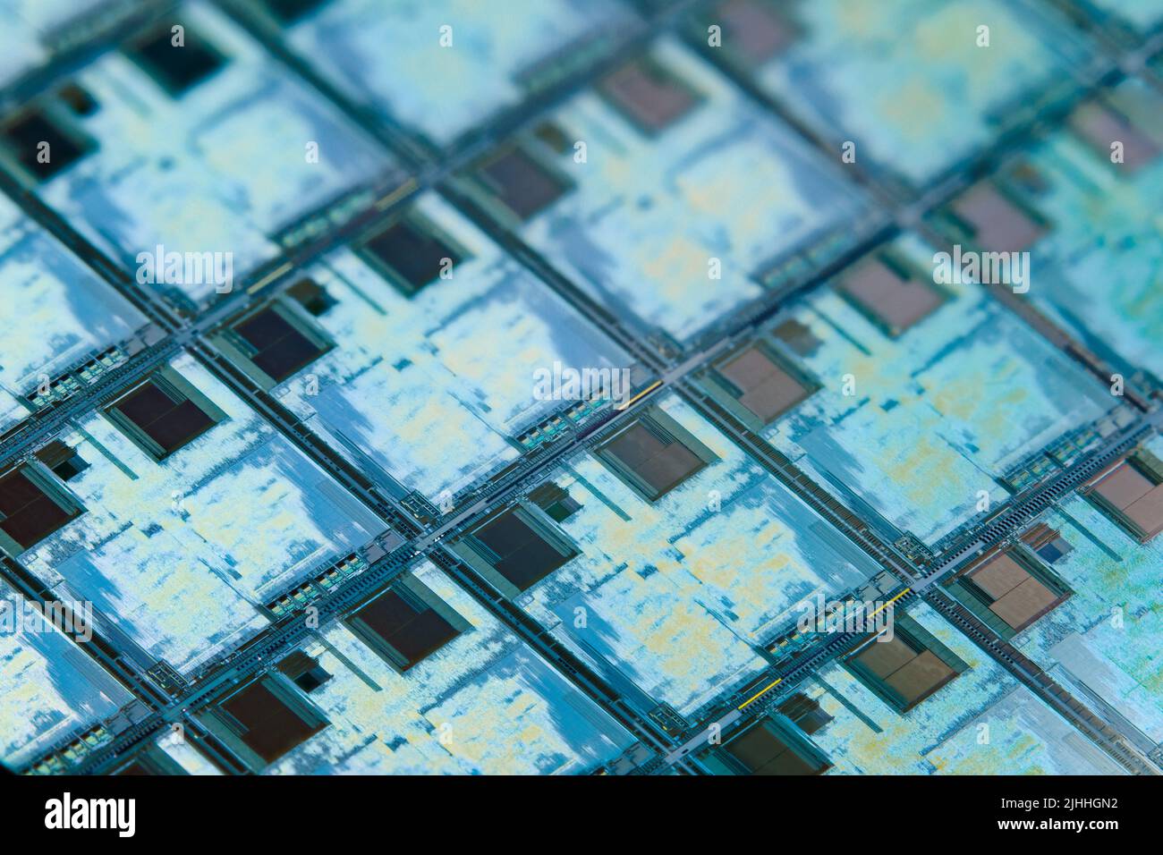 Siliziumwafer mit Mikrochips, die in der Elektronik zur Herstellung integrierter Schaltungen verwendet werden. High-Tech-Makrohintergrund im Vollformat. Stockfoto