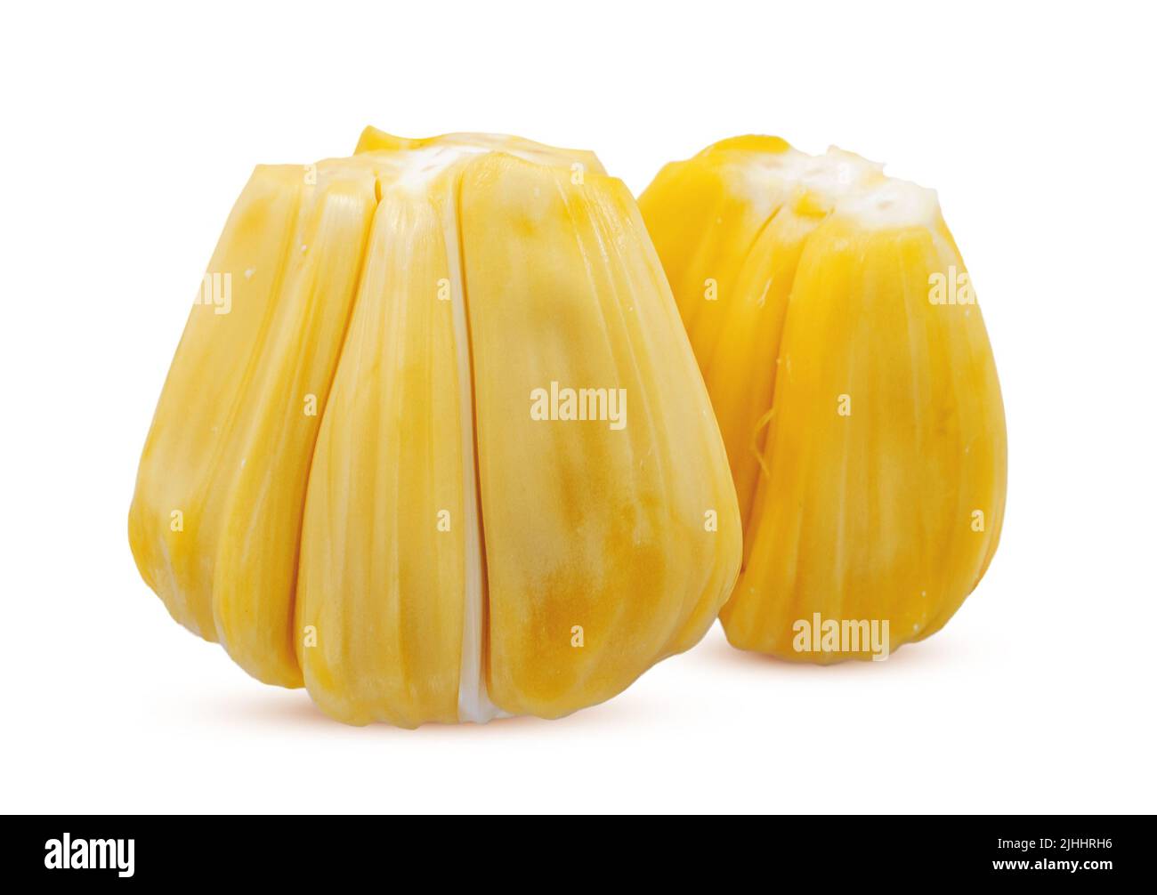 Einzelnes Objekt von Jackfruit isoliert auf weißem Hintergrund Stockfoto