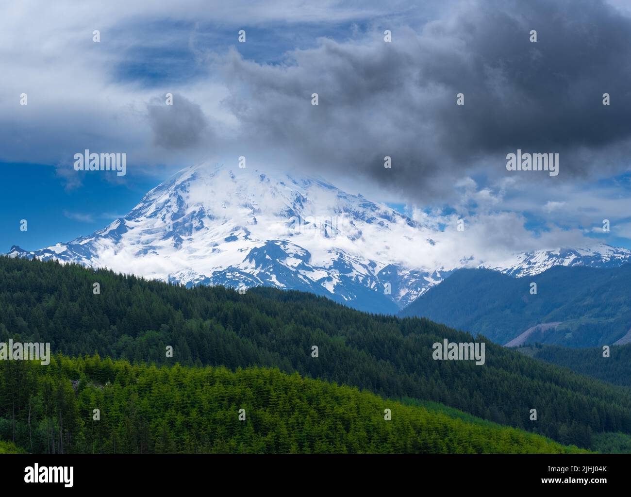Berg mit Wald im Vordergrund Stockfoto