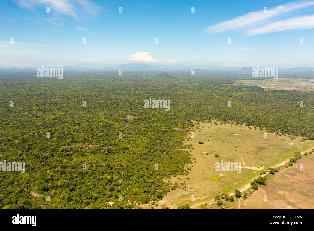 Luftaufnahme von tropischen Wäldern und Dschungel gegen den blauen Himmel und Wolken. Sri Lanka. Stockfoto