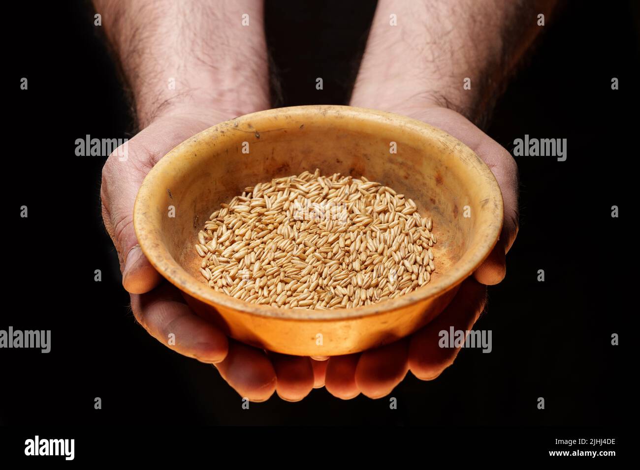 Nahaufnahme der männlichen Hände, die eine kleine Menge Weizenkerne halten. Mangel an Nahrung und Hunger-Konzept Stockfoto