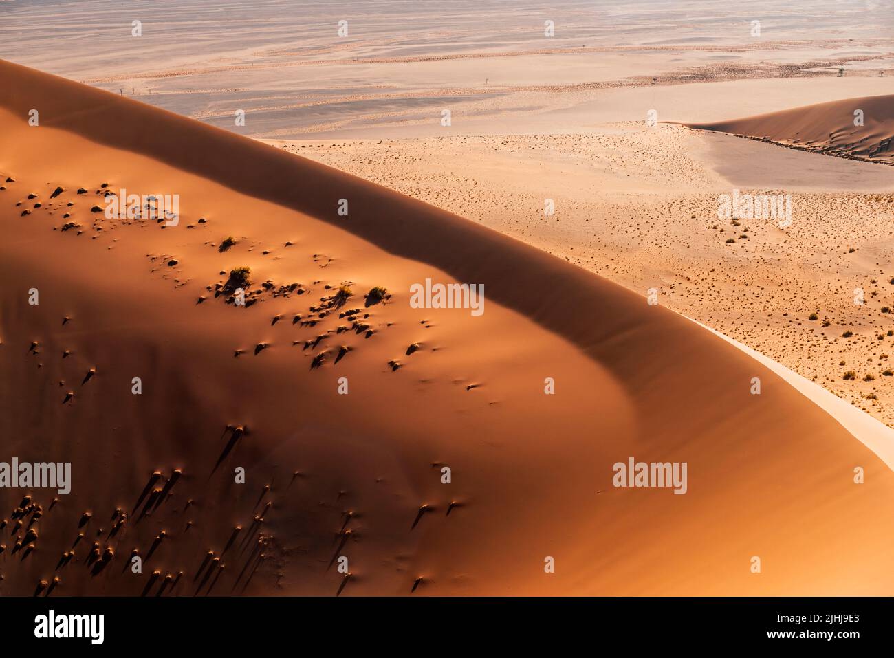 Licht- und Schattengrenze am Sanddünenrand in Sossusvlei, Namibia Stockfoto