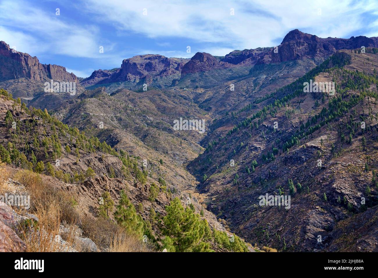 Berglandschaften an der Straße GC-605, im Landesinneren der Kanarischen Inseln, Spanien, Europa Stockfoto