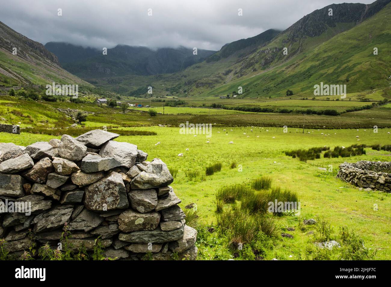Trockensteinmauer und Schaffelder im Nant Ffrancon Tal mit Blick auf die Glyderau Berge im Snowdonia Nationalpark. Bethesda, Gwynedd, Wales, Großbritannien Stockfoto