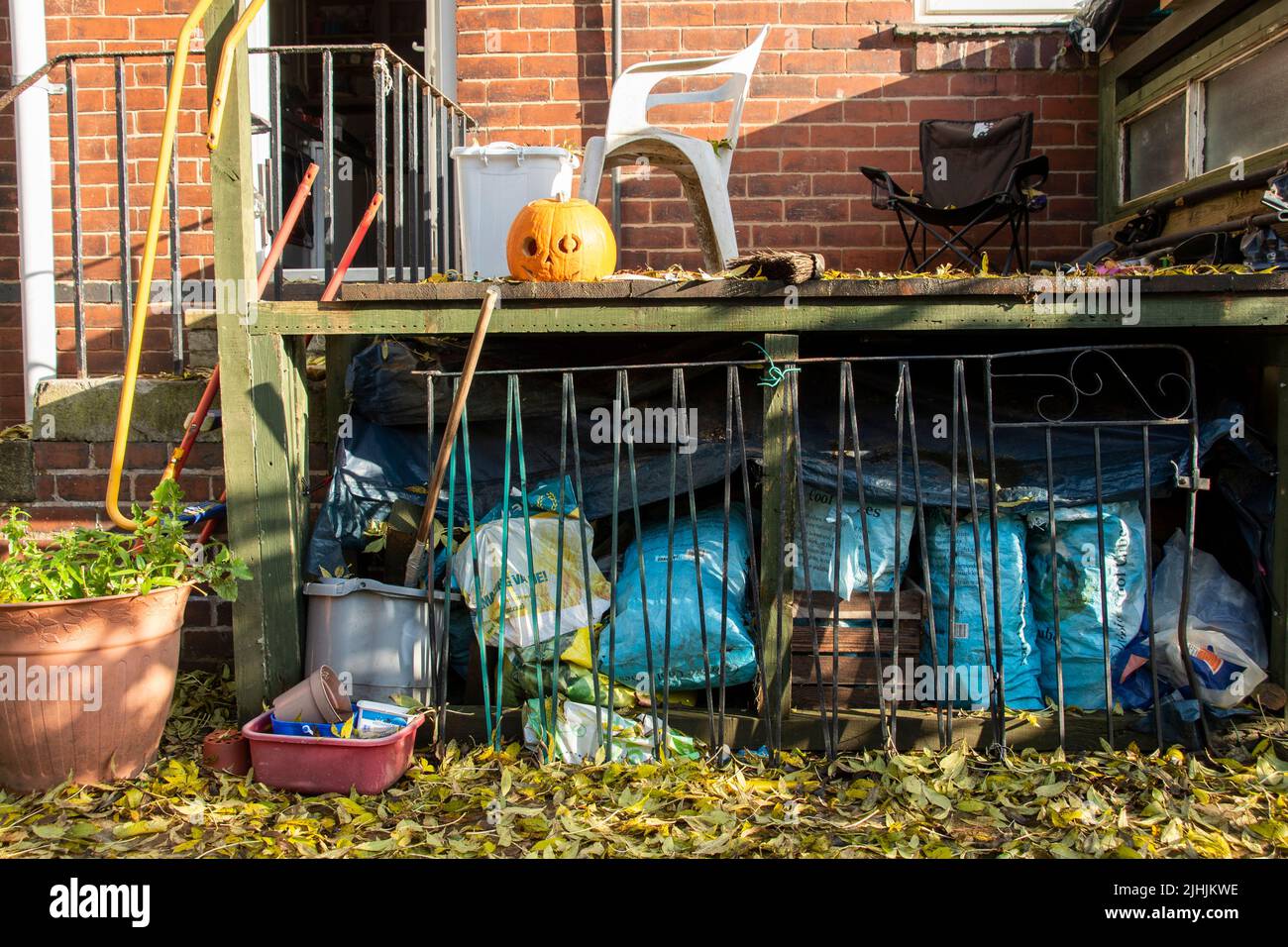 Sheffield, Großbritannien - 31 Oct 2019: Ein langsam verfaulender Kürbiskerl oder eine Laterne, die auf dem Deck zwischen Chaos und herbstlichen Herbstblättern in meinem Garten abgelegt wurde Stockfoto