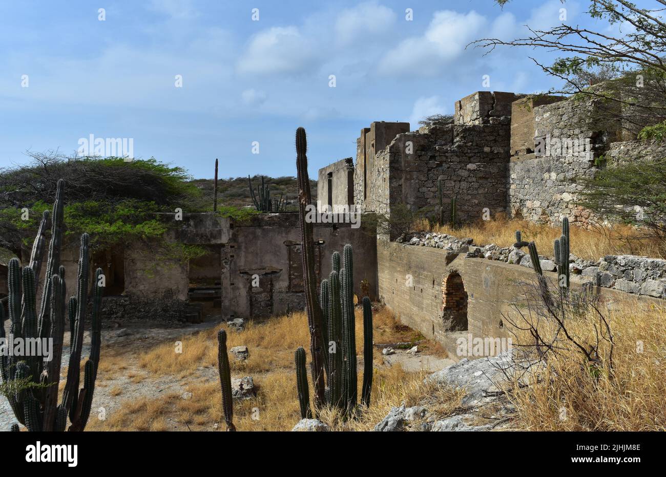 Peeling und Kaktus wachsen in und um die Ruinen der Balashi Gold Mill. Stockfoto