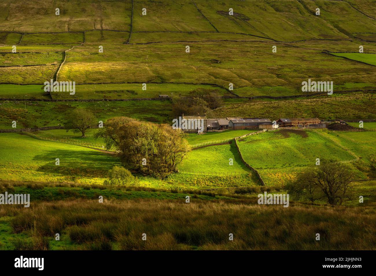 Farm in West Shaw an den Hängen des Wether Hill in der Nähe von Hawes in Yorkshire Stockfoto