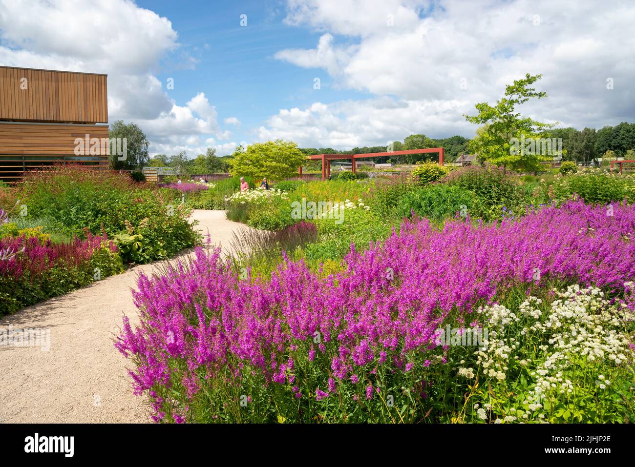Der Worsley Welcome Garten im RHS Bridgewater, einem neuen Garten im Großraum Manchester, England. Juli 2022. Stockfoto