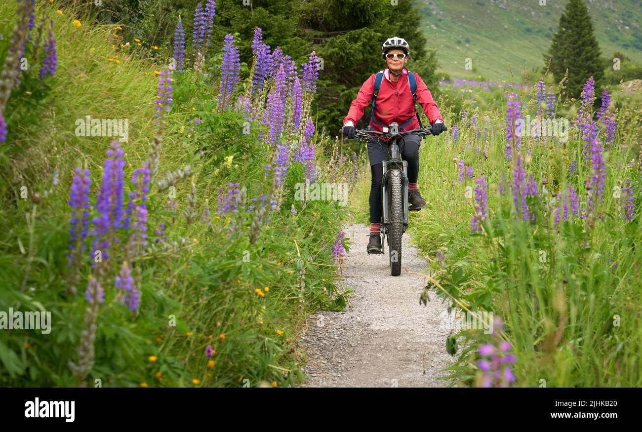 Nette ältere Frau, die auf ihrem Elektro-Mountainbike zwischen blühenden Lupinen auf einer Bergwiese in den silvretta-Bergen über dem See, Tirol, Österreich, reitet Stockfoto