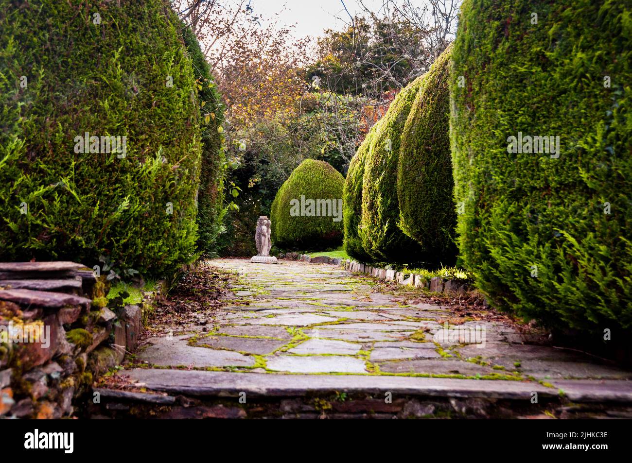 Weite Steinwege und riesige, von Mauern ummauerte Buchsbaumgärten im Woodhill House in Ardara, Irland. Stockfoto