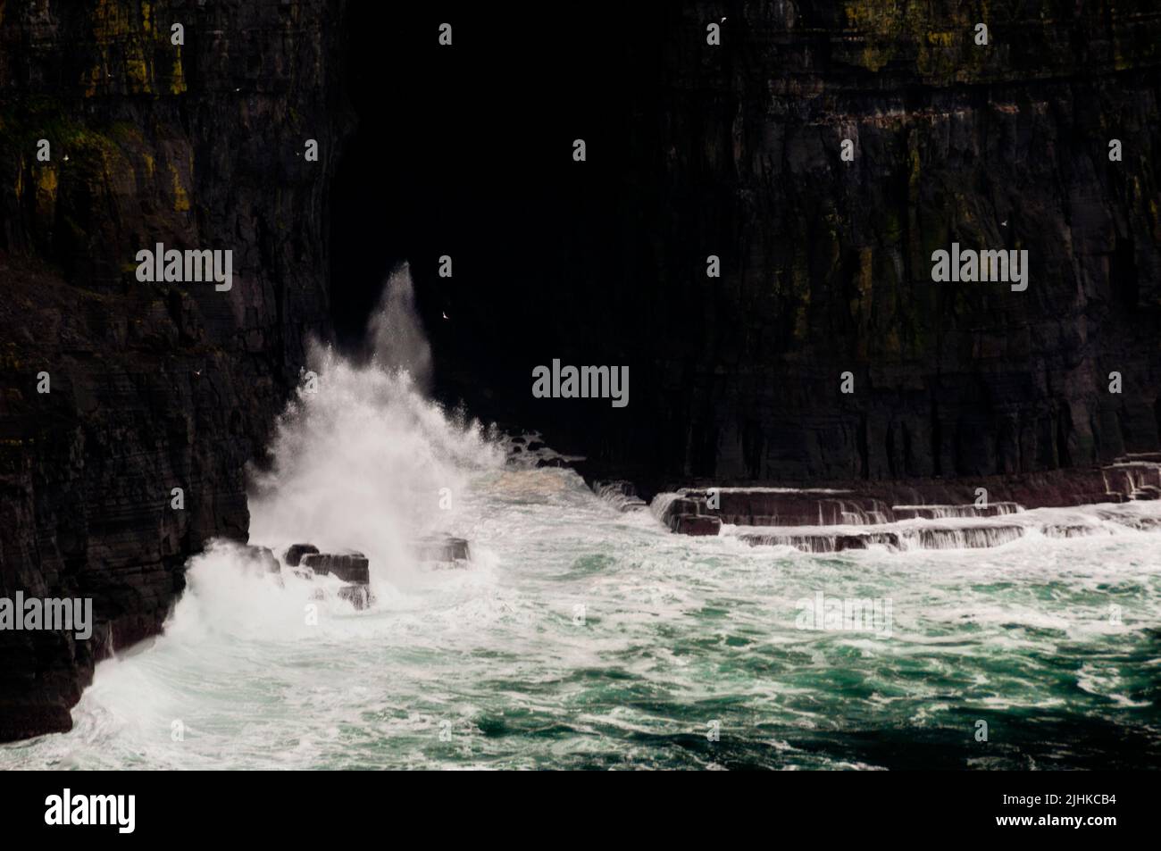 Cliffs of Moher, Irland. Stockfoto