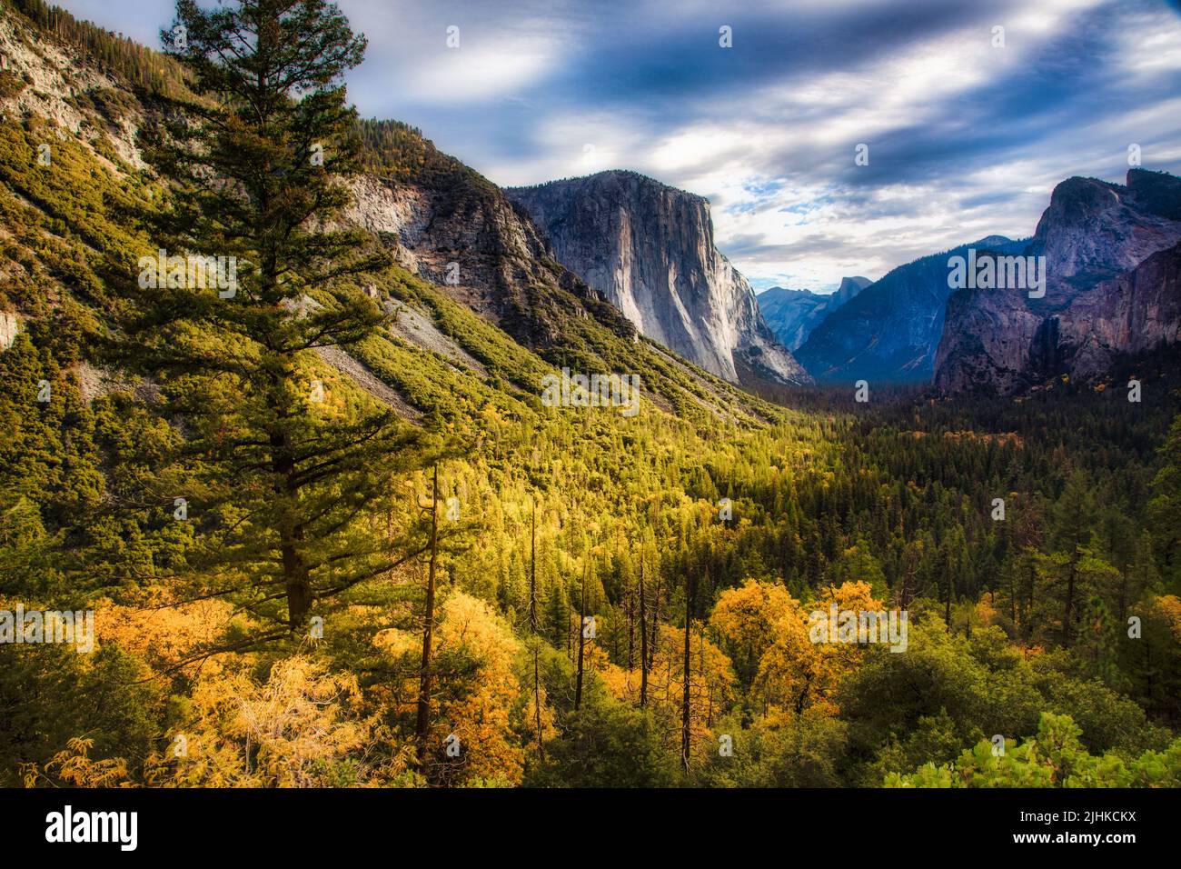 Der Wald im Yosemite Valley wird im Yosemite National Park, Kalifornien, zu Herbstfarben. Stockfoto
