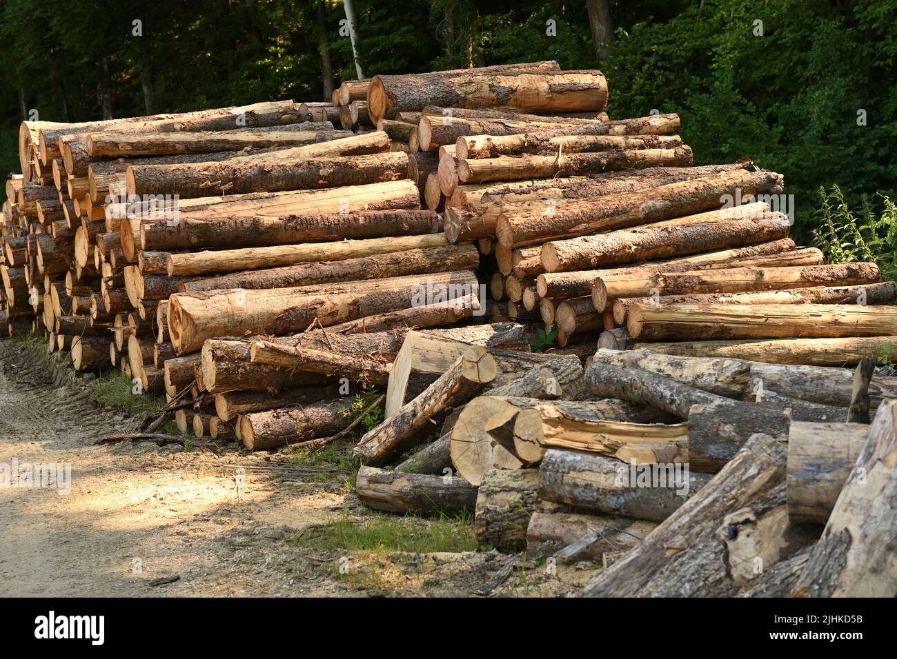 Panikkauf und Knappheit: ?Firewood ist das neue Toilettenpapier?. Der Lauf auf Holz ist in vollem Gange: Im Sommer kaufen plötzlich extrem viele Menschen Brennholz. Warum? Ganz klar: Hintergrund sind die explodierenden Kosten für Öl und Gas. Einige fangen bereits an, für die kalte Jahreszeit zu horten. Brennholz, gestapelte Rundholz, Holz, ?Sven Simon Photo Agency GmbH & Co. Press Photo KG # Princess-Luise-Str. 41 # 45479 M uelheim/R uhr # Tel 0208/9413250 # Fax. 0208/9413260 # GLS Bank # BLZ 430 609 67 # Konto 4030 025 100 # IBAN DE75 4306 0967 4030 0251 00 # BIC GENODEM1GLS # www.svensimon Stockfoto