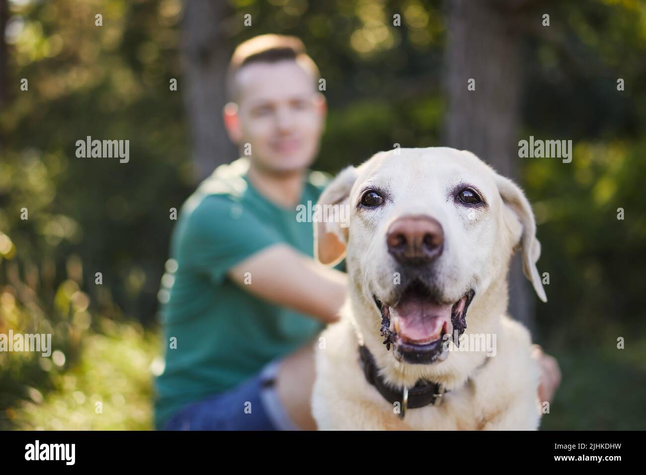 Selektiver Fokus auf niedlichen Hund mit seinem Tierbesitzer im Hintergrund. Man und labrador Retriever ruhen sich an sonnigen Sommertagen aus. Stockfoto