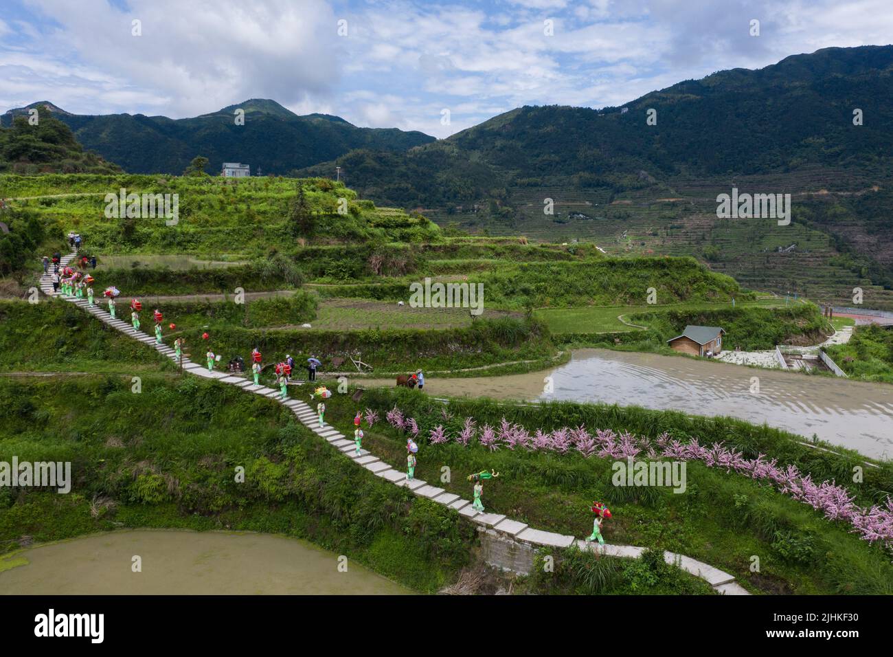 (220719) -- QINGTIAN, 19. Juli 2022 (Xinhua) -- auf diesem Luftfoto feiern die Dorfbewohner in traditionellen Kostümen, während sie anfangen, Fischbraten in Reisfeldern in Xiaozhoushan, Bezirk Qingtian, ostchinesische Provinz Zhejiang, zu pflügen und freizugeben, 11. Juni 2020. Das Reis-Fisch-Kokultur-System in Qingtian hat eine Geschichte von mehr als 1.300 Jahren und wurde in die weltweit erste Gruppe der Global Important Agricultural Heritage Systems (GIAHS) aufgenommen, die 2005 von der Ernährungs- und Landwirtschaftsorganisation der Vereinten Nationen (FAO) ernannt wurde. Qingtian, im südwestlichen Teil von Zhejiang, hat Stockfoto