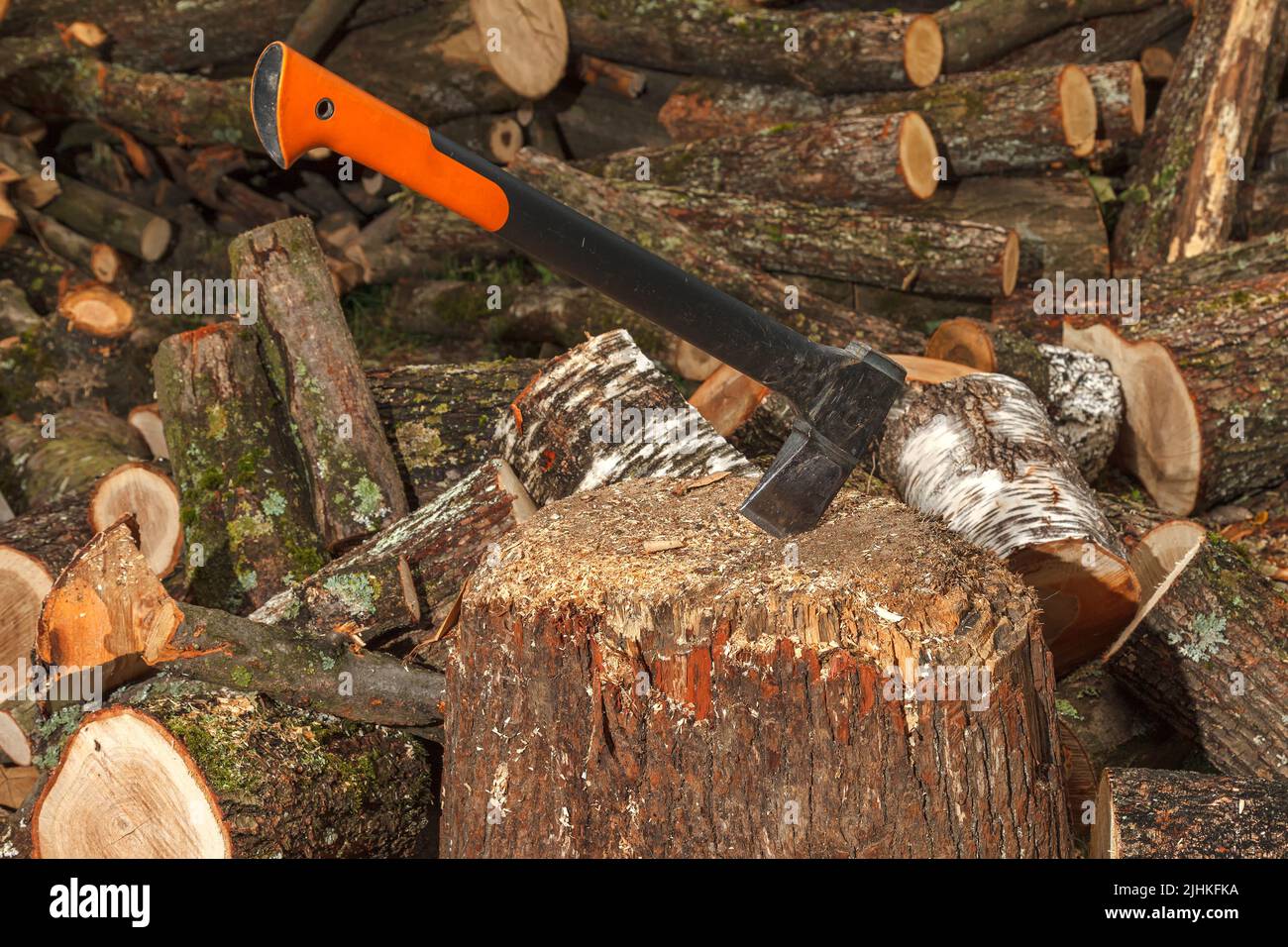 Eine spezielle Axt zum Spalten von Holz wird in den Baumstamm geklebt. Die Axt teilt das Log für die Trocknung und die anschließende Vorbereitung für den Heizschrott im Winter. Stockfoto