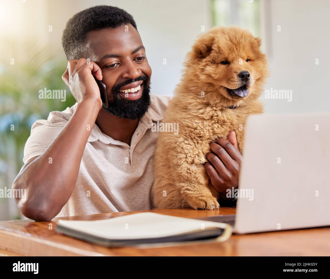 Die Arbeit mit meinem Lieblingsmädchen. Ein reifer Geschäftsmann, der von zu Hause aus arbeitet. Stockfoto