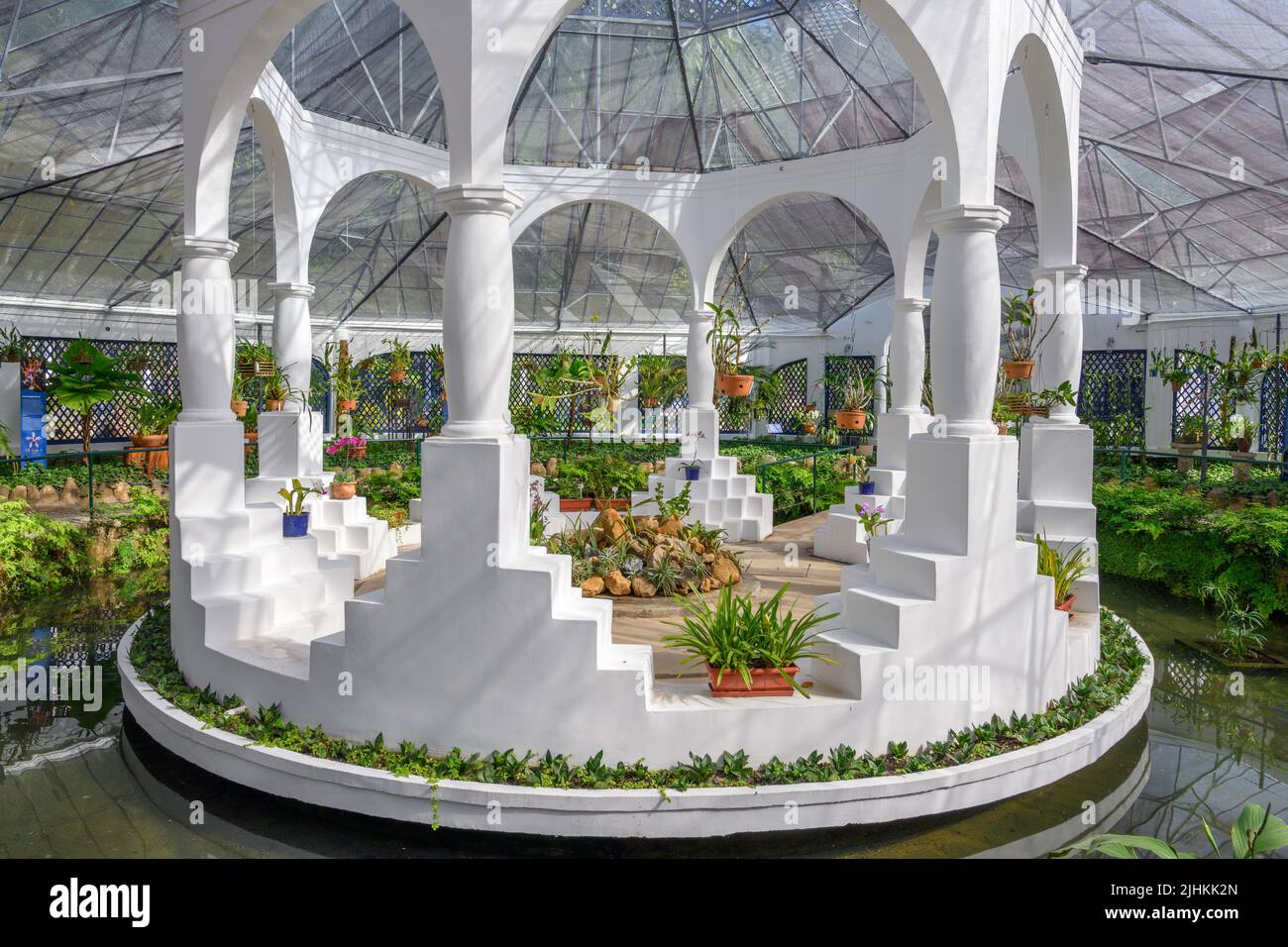 Orchideenhaus (Orquidário), Jardim Botânico do Rio de Janeiro (Botanischer Garten von Rio de Janeiro), Rio de Janeiro, Brasilien Stockfoto