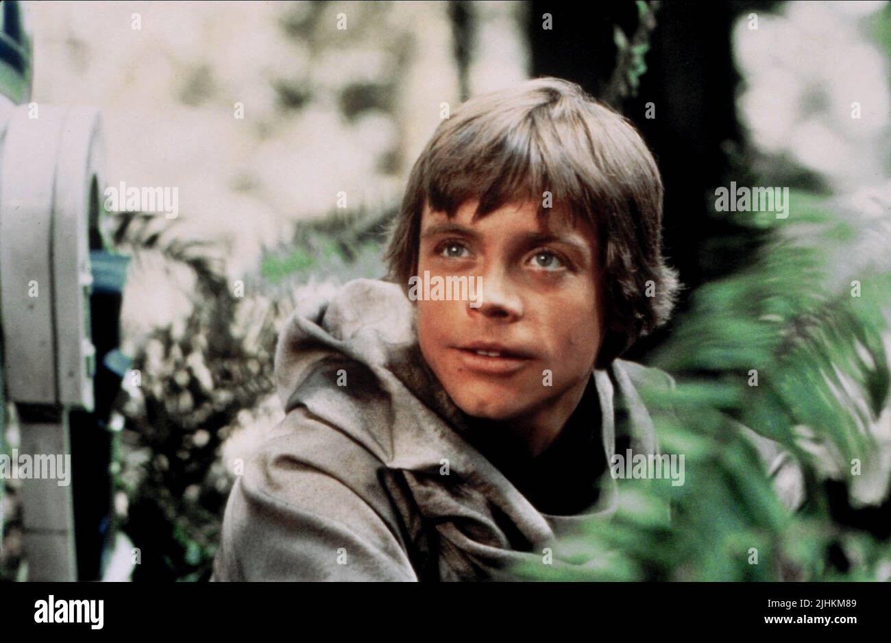 MARK HAMILL, Star Wars: Episode VI - Die Rückkehr der Jedi-Ritter, 1983 Stockfoto