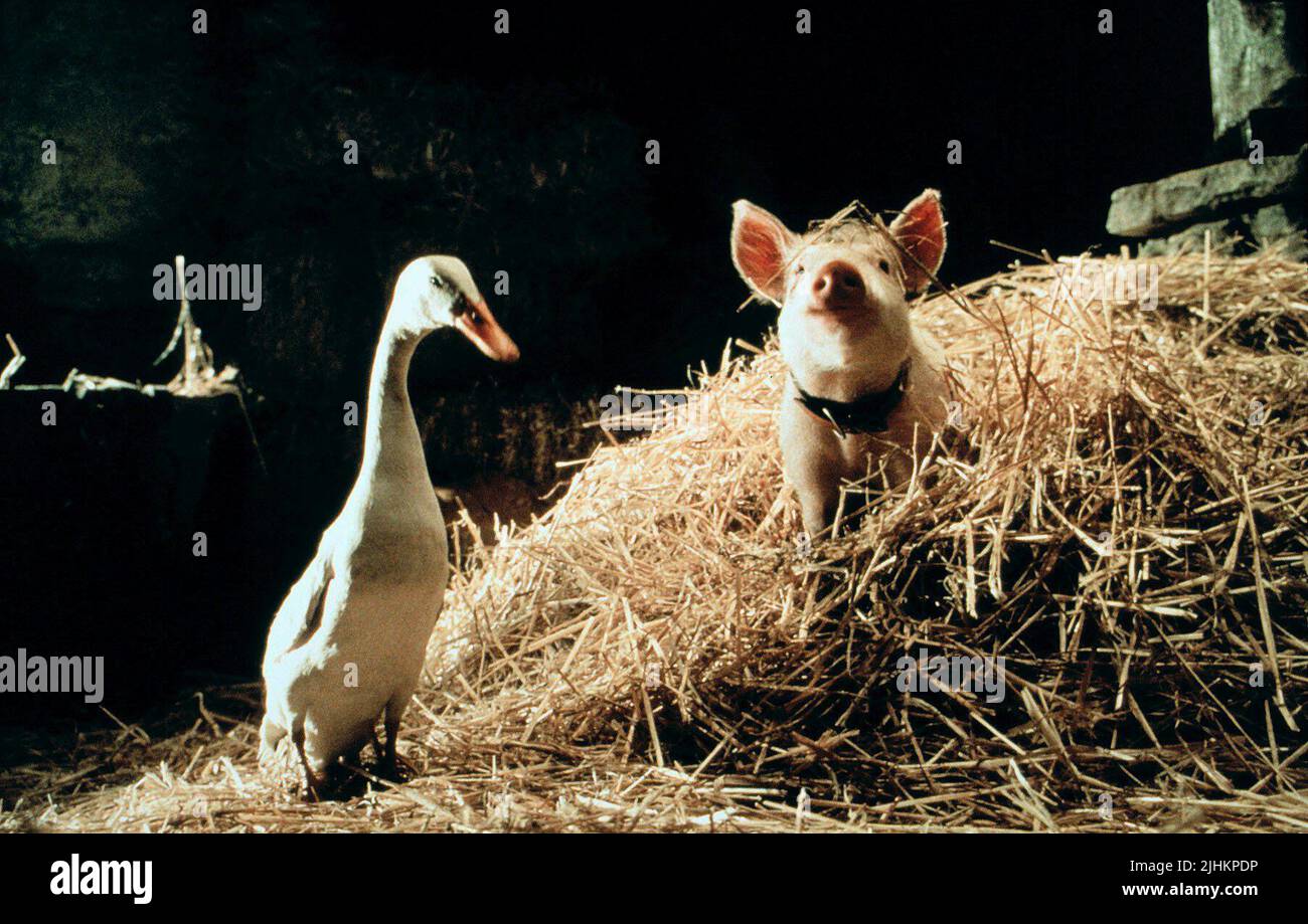 FERDINAND, Baby, Baby: SCHWEIN IN DER STADT, 1998 Stockfoto