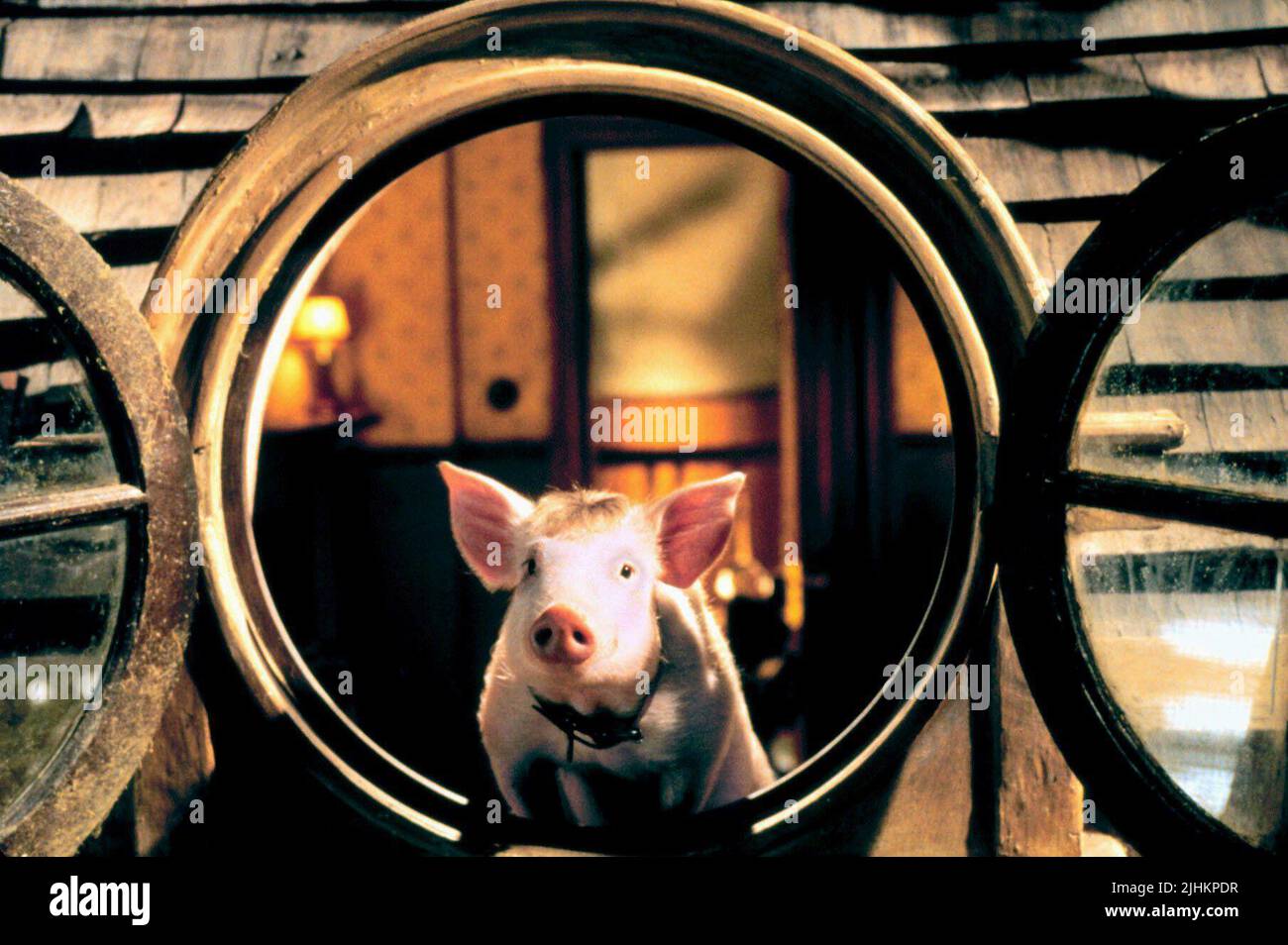 Baby, Baby: SCHWEIN IN DER STADT, 1998 Stockfoto
