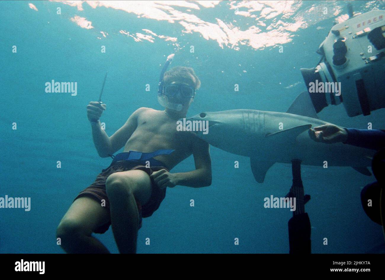 LEONARDO DICAPRIO, SHARK, DER STRAND, 2000 Stockfoto