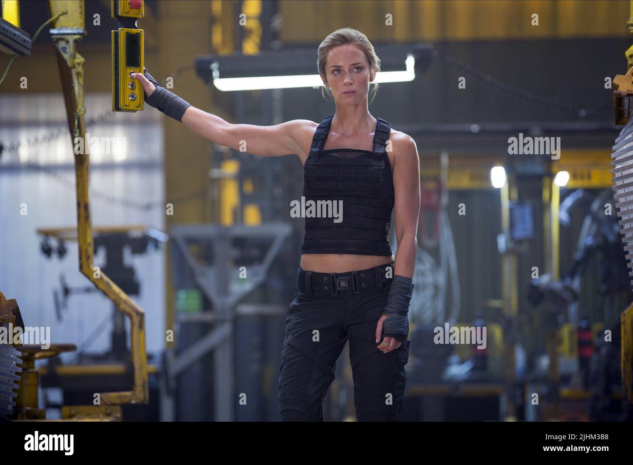 EMILY STUMPF, KANTE VON MORGEN, 2014 Stockfoto