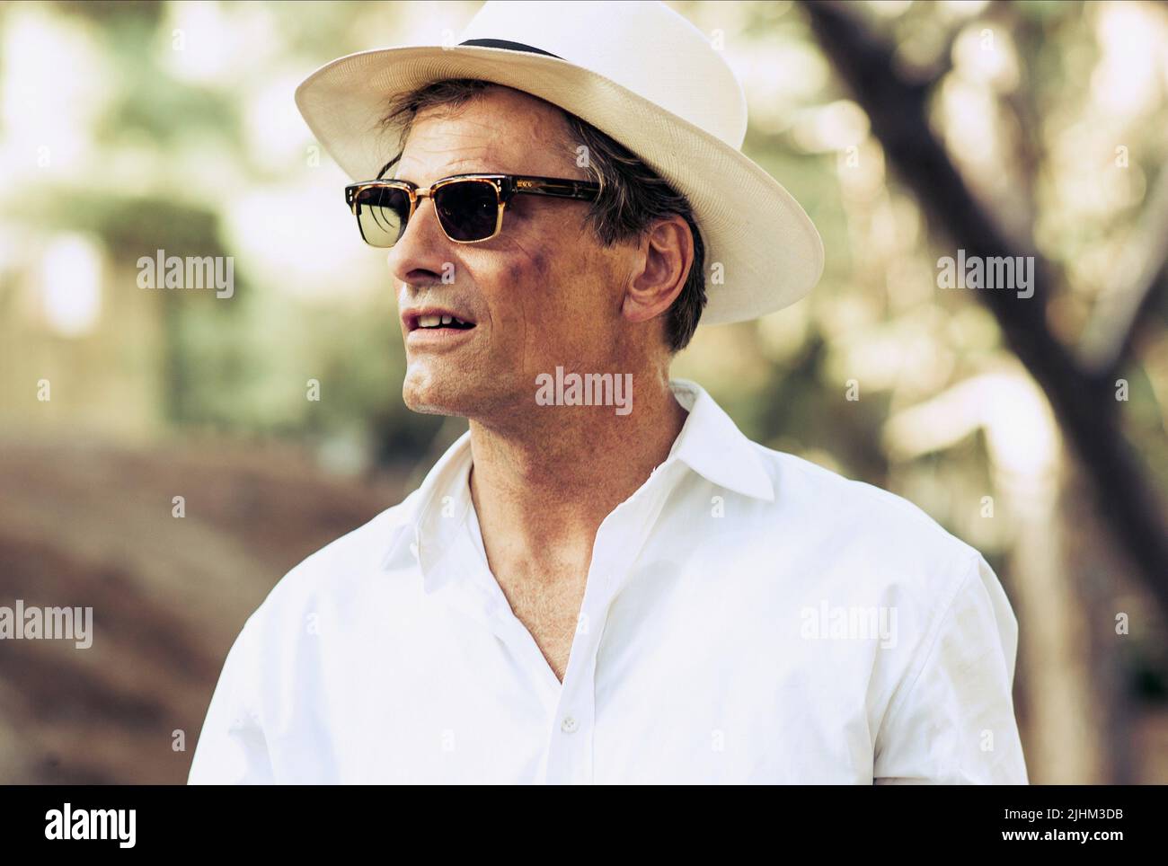 VIGGO MORTENSEN, DIE ZWEI GESICHTER DES JANUAR 2014 Stockfoto