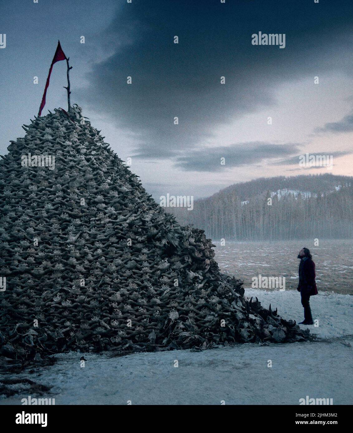 LEONARDO DICAPRIO, der Widergänger, 2015 Stockfoto