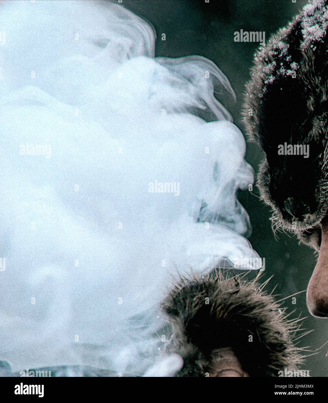 TOM HARDY, die WIEDERGÄNGER, 2015 Stockfoto