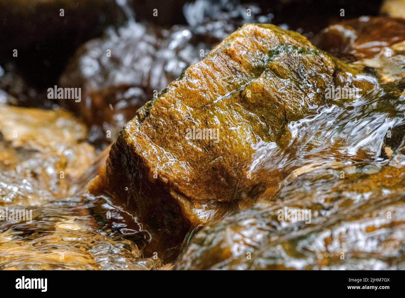 Ein Felsen in einem Bach bricht den Wasserfluss in einem Naturpark. Stockfoto