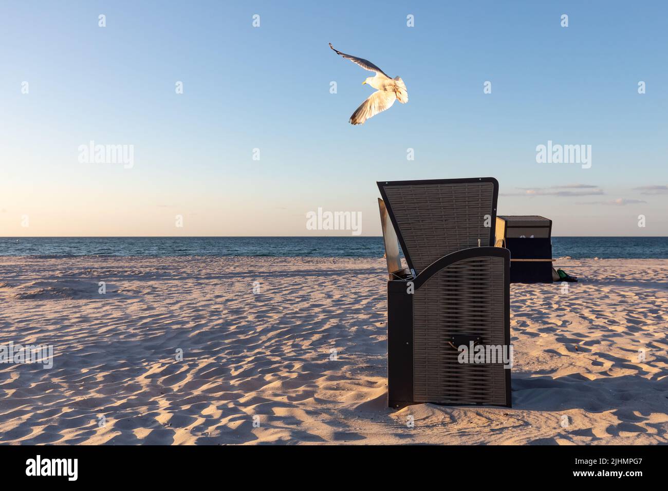 seagull verlässt den Liegestuhl in der Abendsonne Stockfoto